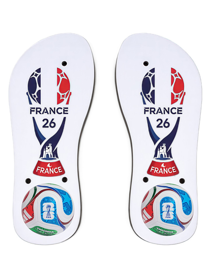 fifa world cup 2026 france